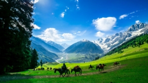 Kashmir tour packages from Chennai | Honeymoon packages 